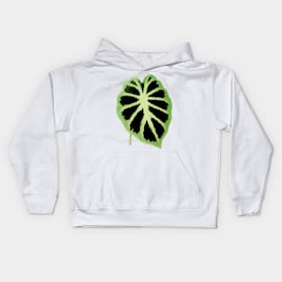 Colocasia affinis ‘Jenningsii’ - Rothschild - Botanical Illustration Kids Hoodie